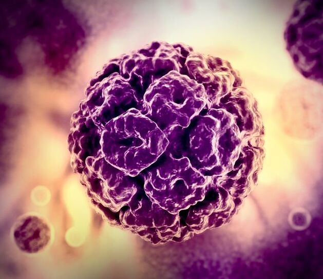 Modeli 3D i HPV (papillomavirusi i njeriut)