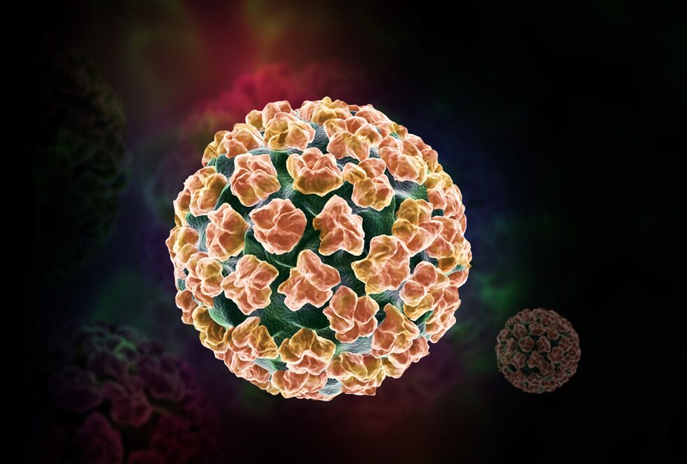 papillomavirusi i njeriut në trup
