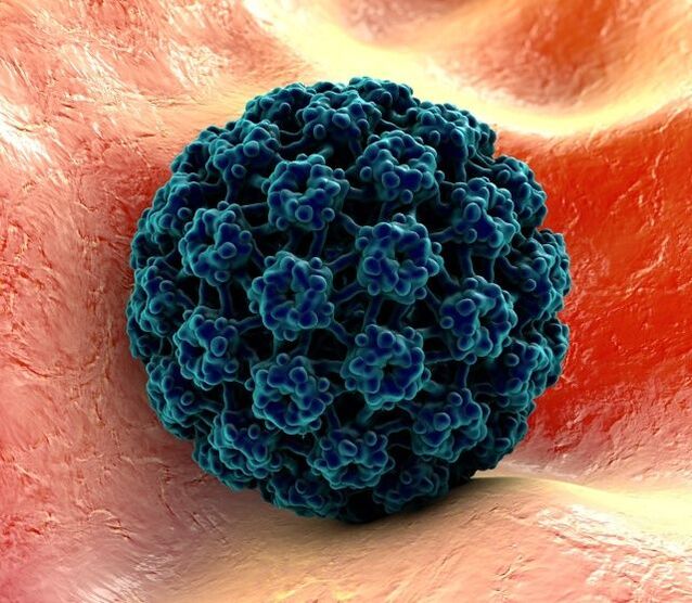 Modeli 3D i HPV që shkakton lytha në duar