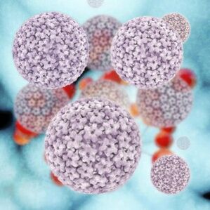 molekulat e papillomavirusit njerëzor
