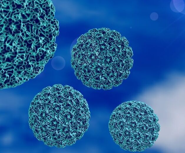 Modeli 3D i HPV që shkakton lytha në thembër